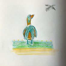 My project in Illustrating Nature: A Creative Exploration course. Traditional illustration, Ink Illustration, Pencil Drawing, and Watercolor Painting project by cerisiatatorin - 02.16.2021