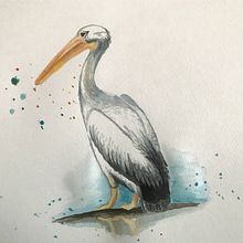 My project in Artistic Watercolor Techniques for Illustrating Birds course. Een project van Digitaal ontwerp, Digitale marketing, Webdesign y  Webdevelopment van Martina Filipová - 16.02.2021