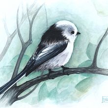 Mi Proyecto del curso: Ilustración naturalista de aves con acuarela . % Lucía Vázquez de Prada tarafından hazırlanan Geleneksel illüstras, on, Sulubo, Ve a Resim projesi - 02.17.2021