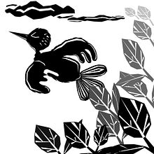 High contrast images and polygonal lasso. Traditional illustration project by Isabella Del Gobbo - 02.17.2021