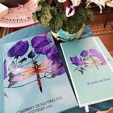  Dibujo y composición naturalista en acuarela: el Patio de Ovín. Un proyecto de Ilustración botánica de Marieta Alonso-Collada - 17.02.2021