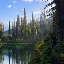 Matte Painting - Lost In The Wild . % Diogo Sampaio tarafından hazırlanan Mat Bo, Ve ama projesi - 06.17.2020