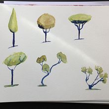 Mi Proyecto del curso: Dibujo para principiantes nivel -1. Een project van  Tekening van Ana Quero - 18.02.2021