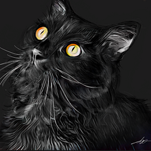 Lucky. Un progetto di Disegno, Disegno di ritratti e Disegno digitale di María Bertó Durá - 18.02.2021