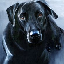 Pongo. Artes plásticas, Desenho de retrato, Desenho realista, e Pintura a óleo projeto de Begoña Blázquez Parro - 18.02.2021