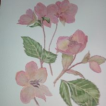 My project in Botanical Watercolor: Illustrate the Anatomy of Flowers course. Accessor, and Design project by kingmadeline74 - 02.18.2021