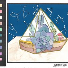 Mi Proyecto del curso: Creación de paletas de color con acuarela. Un progetto di Illustrazione naturalistica di Andreah Sucre Bello - 19.02.2021