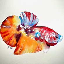 Fish. Watercolor Painting project by Nicole Pratt - 02.19.2021