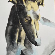 Greyhound. Watercolor Painting project by Nicole Pratt - 02.19.2021