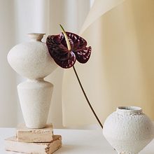 Moyo Studio - El lienzo perfecto para mostrar al mundo tus propios diseños. Construimos para nuestros queridos Moyo Studio una serie de fotografías para sus mock ups online. Ein Projekt aus dem Bereich Fotografische Komposition, Kunstleitung, Design, Fotografie, Artistische Fotografie und Produktfotografie von BaconStudio - 19.02.2021
