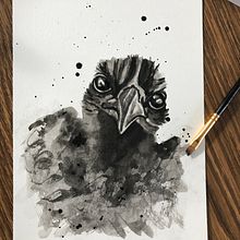 My project in Artistic Watercolor Techniques for Illustrating Birds course . % nicole_stokes tarafından hazırlanan Suluboya Resim projesi - 02.19.2021