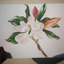 My project in Botanical Illustration with Watercolors course. Un progetto di Pittura ad acquerello di Zornitsa Markova - 29.03.2021