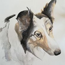 Mi Proyecto del curso: Técnicas experimentales de acuarela para principiantes . Un proyecto de Pintura a la acuarela de Roser LP - 20.02.2021