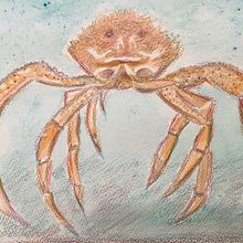 My project in Illustrating Nature: A Creative Exploration course. Een project van Naturalistische illustratie van amanda_308838 - 21.02.2021