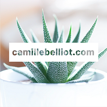 Presentation vidéo Ein Projekt aus dem Bereich Animation von Camille Belliot - 17.04.2019