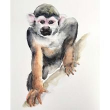Watercolor monkey Ein Projekt aus dem Bereich Aquarellmalerei von Tina Ritter - 21.02.2021