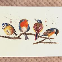 My project in Artistic Watercolor Techniques for Illustrating Birds course. Traditional illustration project by flowne - 02.21.2021