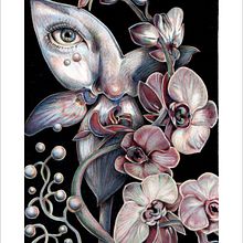 FLora <lápices de color>. Artistic Drawing project by Liliana Quintero - 02.22.2021