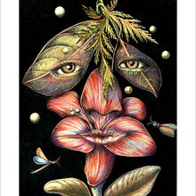 MULTIFLORA <lápices de color>. Pencil Drawing project by Liliana Quintero - 02.22.2021