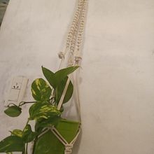 Colgador de planta con aro de madera. Macramé project by Tatiana Vandoni - 02.22.2021