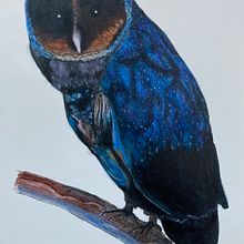 Black Owl. Un progetto di Pittura ad acquerello di Elaine Fell - 22.02.2021