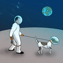 Paseo Espacial - Space walk. Projekt z dziedziny Grafika ed, torska, Ilustracja w, dawnicza, Trad, c, jna ilustracja, Ilustracja c i frowa użytkownika Sara C. Fraguas - 22.02.2021