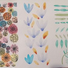 Practica de Acuarela. Un progetto di Illustrazione naturalistica di hikarudanna - 23.02.2021