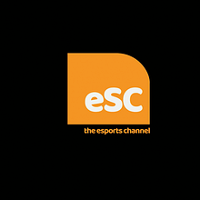 "E-Sports" - Motion Graphics. Un proyecto de Animación, YouTube Marketing, Creatividad, Edición de vídeo y Motion Graphics de Alessandra Bonholi Barbosa - 15.12.2019
