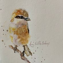 My project in Artistic Watercolor Techniques for Illustrating Birds course. Watercolor Painting project by Amy Be;nap - 02.23.2021