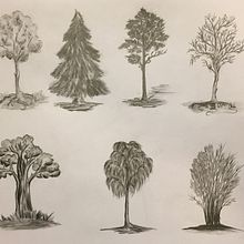 My project in Drawing for Beginners Level -1 course. Projekt z dziedziny Trad, c i jna ilustracja użytkownika Maria Maksakova - 23.02.2021