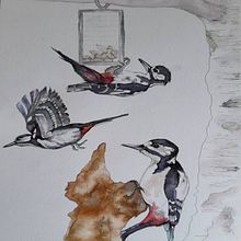 My project in Illustrating Nature: A Creative Exploration course. Un proyecto de Ilustración naturalista				 de Ally Wragg - 23.02.2021