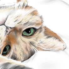 Ilustración digital. Een project van Traditionele illustratie, Digitale illustratie y  Digitaal schilderij van Natalia García Yáñez - 24.11.2020