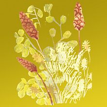 bouquet botanica maiz. Un proyecto de Ilustración botánica de Samantha Vulijscher - 24.02.2021