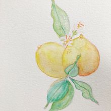 Meu projeto do curso: Aquarela botânica: ilustre a anatomia das flores. Un proyecto de Bellas Artes de Rahel - 24.02.2021