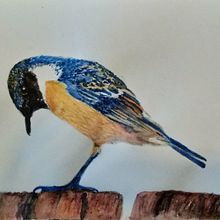 Mein Kursprojekt: Illustriere Vögel mit expressiven Aquarelltechniken. Watercolor Painting project by Horst Drescher - 02.25.2021