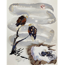 My project in Illustrating Nature: Exploring the Bald Eagle. Un progetto di Illustrazione tradizionale, Illustrazione naturalistica e Pittura ad acquerello di Sandy H - 25.02.2021
