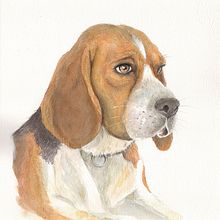 My project in Experimental Watercolor Techniques for Beginners course. Un progetto di Illustrazione tradizionale e Pittura ad acquerello di Davide Santarsiere - 25.02.2021