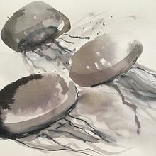 A Creative Exploration course: jellyfish in ink. Un progetto di Illustrazione con inchiostro di Petra Boshart - 28.02.2021