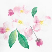 My project in Creation of Color Palettes with Watercolor course. Un proyecto de Pintura a la acuarela de clarazanetto - 13.03.2021