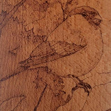 Bullfinch (Pyrography). Un proyecto de Dibujo y Bellas Artes de Laura Clark - 26.02.2021