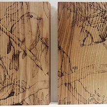 Bird trio (Pyrography). Un proyecto de Dibujo y Bellas Artes de Laura Clark - 26.02.2021
