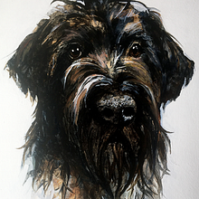 Pet Commission. Un proyecto de Bellas Artes, Pintura al óleo y Pintura de Laura Clark - 26.02.2021