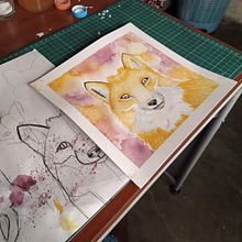 Zorro . Ilustrasi tradisional proyek oleh Jaqueline Mera - 02.27.2021