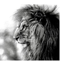 Charcoal lion . Un proyecto de Dibujo de Sarah Stokes - 27.02.2021