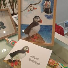 Mi Proyecto del curso: Acuarela artística para ilustración de aves. Un proyecto de Diseño gráfico e Ilustración tradicional de Carme Farrerons - 28.02.2021