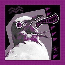 Buzzed Up Seagul. Un proyecto de Diseño digital y Diseño gráfico de Aaron Mac - 28.02.2021