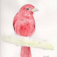 Mi Proyecto del curso: Acuarela artística para ilustración de aves. Un progetto di Pittura ad acquerello di Cristhian Rojas Granados - 28.02.2021