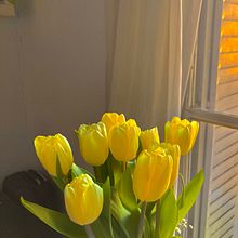 Levitation . Desen, Desen de portret, Ilustrație tradițională și Manga de Luna Wang - 03.01.2021