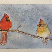 My project in Artistic Watercolor Techniques for Illustrating Birds course. Un proyecto de Ilustración tradicional, Pintura a la acuarela, Dibujo realista e Ilustración naturalista				 de LaVonne Latham Hanlon - 02.03.2021
