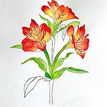 Mi Proyecto del curso: Acuarela botánica: ilustra la anatomía de las flores. Un progetto di Illustrazione botanica e Illustrazione naturalistica di Silvana Hernandez - 02.03.2021